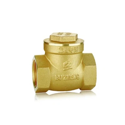 Les clapets anti-retour en laiton sont-ils adaptés aux stations d'épurati...